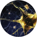 Giada T. profile picture